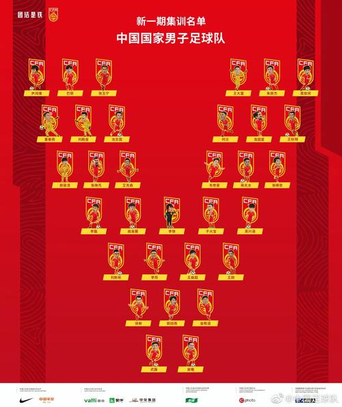 欧洲杯中国主力（欧洲杯中国主力队员名单）