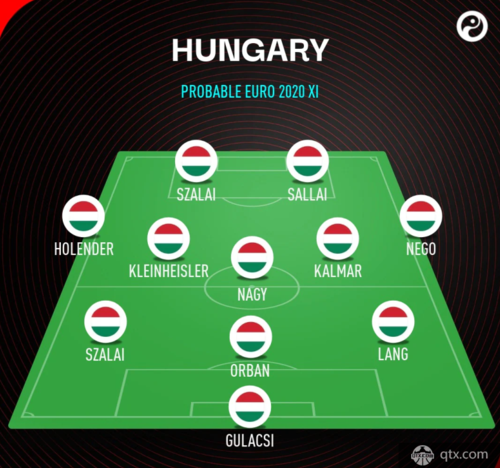 欧洲杯预测匈牙利球员（欧洲杯预测匈牙利球员阵容）