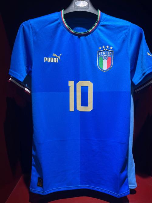 2020欧洲杯意大利外套（意大利欧洲杯球衣谍照）