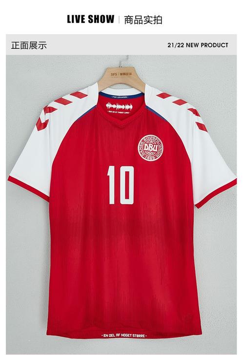 欧洲杯丹麦照片格式（欧洲杯丹麦球服）